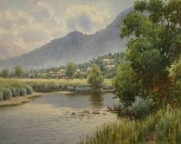 River Conwy At Trefriw Oil Painting by Warren Williams