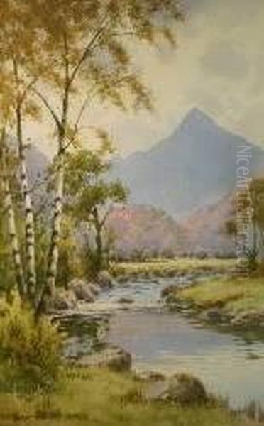 Snowdonia River Scene With Silver Birches Oil Painting by Warren Williams