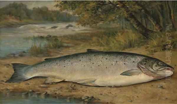 The catch of the day Oil Painting by Thomas G. Targett