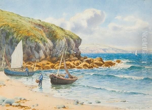 Wylfa Bay, Cemaes Bay, Anglesey Oil Painting by Warren Williams