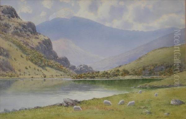 Llyn Gwynant,snowdonia, Sheep Grazing By A Lake Oil Painting by Warren Williams