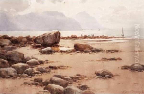 The Rocky Coast Oil Painting by Warren Williams