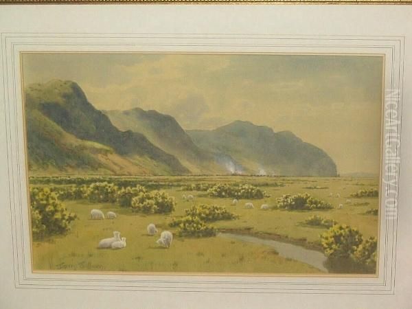 Extensive Country Landscape With Sheep Grazing Oil Painting by Warren Williams