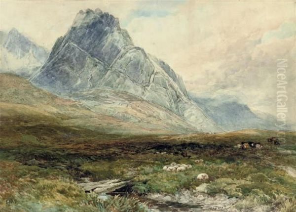 Sheep And Cattle At Llys Tryffan Oil Painting by Edmund Morison Wimperis