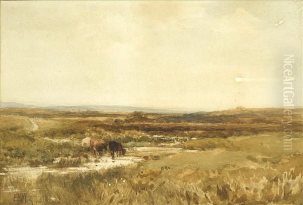 A Cornish Moor Oil Painting by Edmund Morison Wimperis