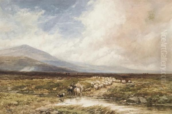 Driving Home The Flock, Dartmoor Oil Painting by Edmund Morison Wimperis