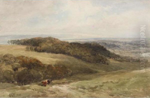 Cattle In A Valley Oil Painting by Edmund Morison Wimperis