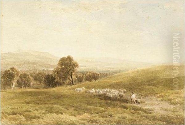 A Shepherd And His Flock Oil Painting by Edmund Morison Wimperis