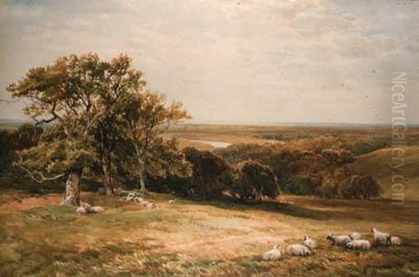 Sheep Grazing In An Extensive Landscape Oil Painting by Edmund Morison Wimperis