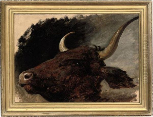 Head Study Of A Bull Oil Painting by James Lawton Wingate