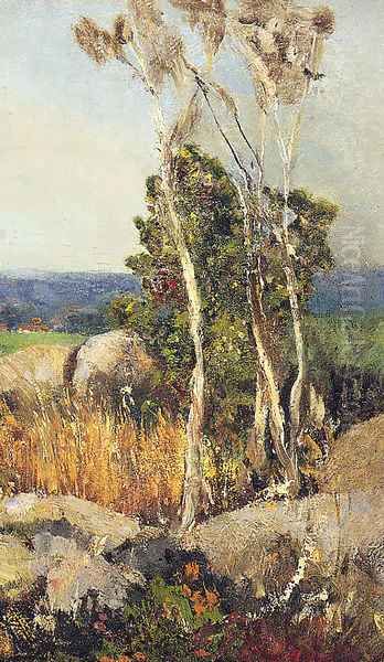 Trees And Boulders In An Extensive Landscape Oil Painting by Adolfo Tommasi