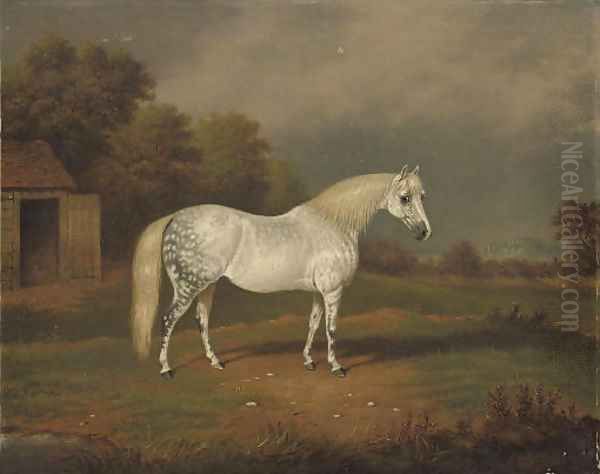 Skewbald horse Oil Painting by William Eddowes Turner