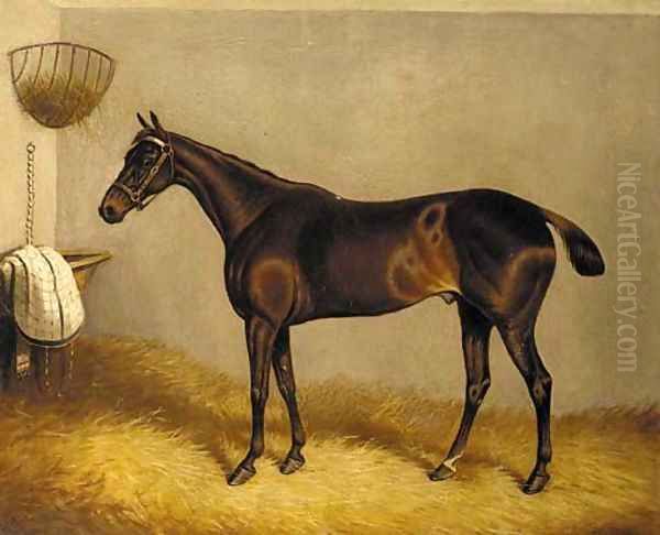 Topthorn, a chestnut racehorse in a stable Oil Painting by William Eddowes Turner