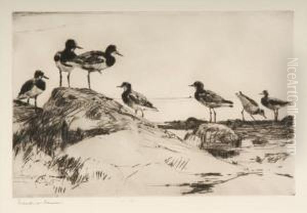 Study Of Turnstones by Frank Watson Wood