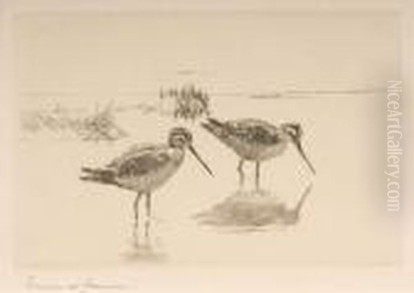 Pair Of Snipe Oil Painting by Frank Watson Wood