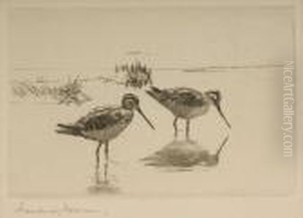 Pair Of Snipe Oil Painting by Frank Watson Wood