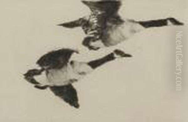 A Study Of Geese Oil Painting by Frank Watson Wood