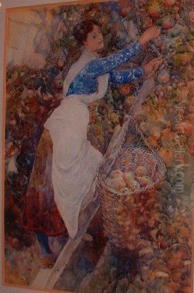 Ayoung Woman Picking Apples Oil Painting by David Woodlock