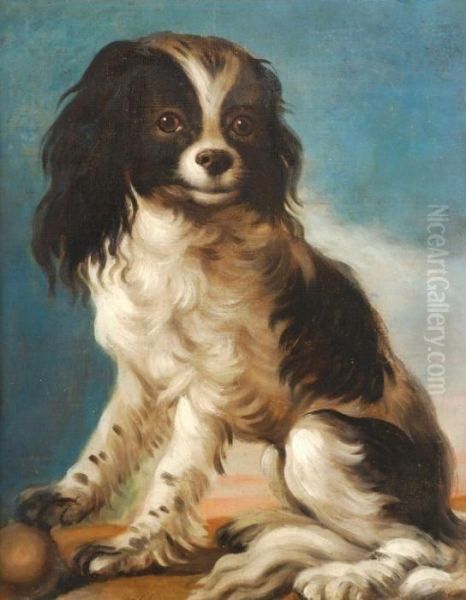 Study Of A King Charles Spaniel Oil Painting by John Wootton