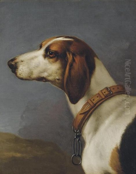 Head Of A Hound Oil Painting by John Wootton