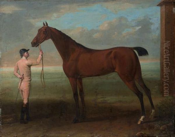 Coquette, A Bay Mare, Held By A Groom Oil Painting by John Wootton