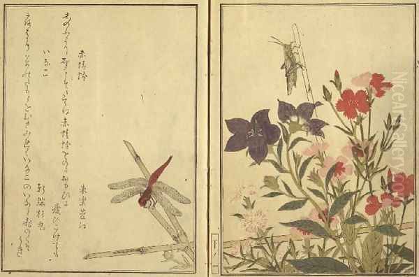 Chinese ballon flower and reptiles and flowers, from an illustrated book on flowers, insects and reptiles Oil Painting by Kitagawa Utamaro