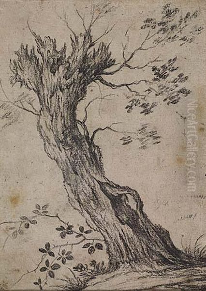 Tree Studies, A Pair Oil Painting by Pieter Wouwermans or Wouwerman