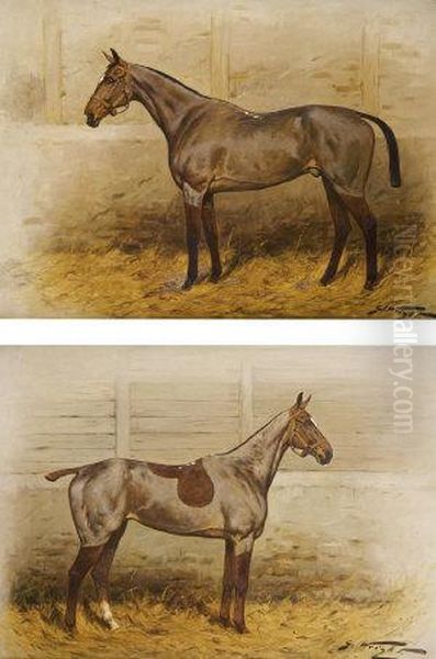 A Pair Of Stabled Thoroughbreds With Winter Clip Oil Painting by George Wright