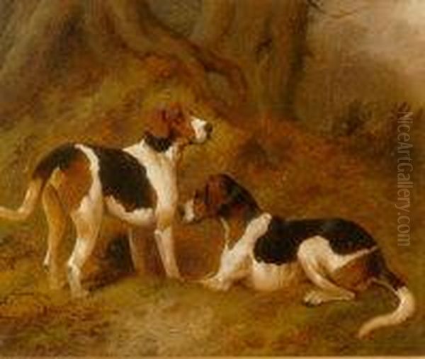 Pair, Studies Of Hunting Hounds Oil Painting by George Wright