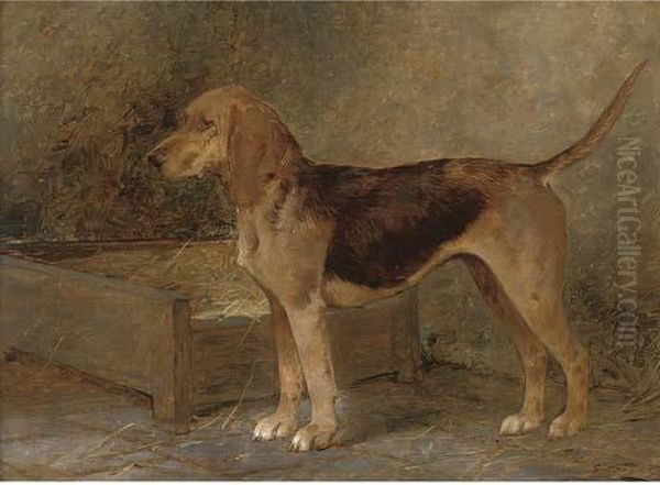 A Prize Foxhound Oil Painting by George Wright