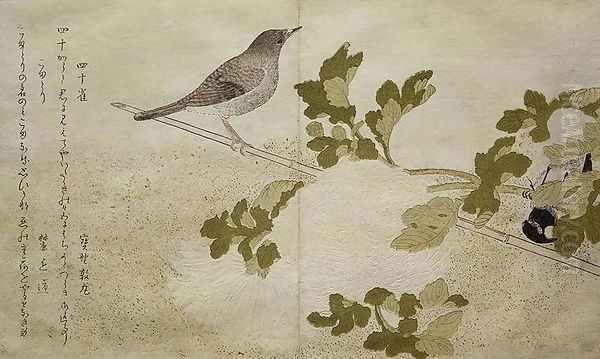 Manchurian Great Tit and a Robin, from an album Birds compared in Humorous Songs, 1791 Oil Painting by Kitagawa Utamaro