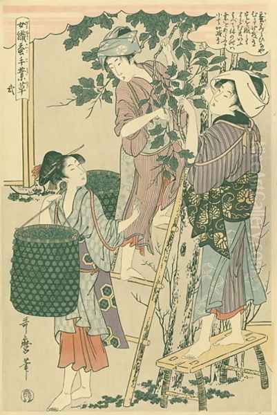 Picking mulberry leaves, no.2 from Joshoku kaiko tewaza-gusa, c.1800 Oil Painting by Kitagawa Utamaro