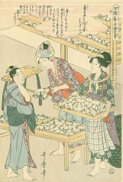 The cocoon stage, no.6 from Joshoku kaiko tewaza-gusa, c.1800 Oil Painting by Kitagawa Utamaro