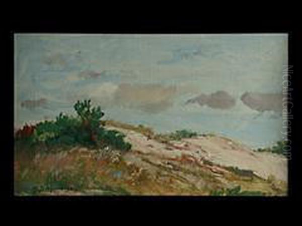 Landschaft Mit Sanddunen Oil Painting by Michael Gorstkin Wywiorski