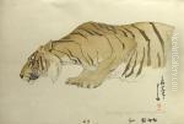 Sketch Of Tiger Oil Painting by Hiroshi Yoshida