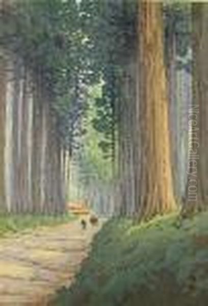 Avenue Of Cryptomeria In Nikko by Hiroshi Yoshida