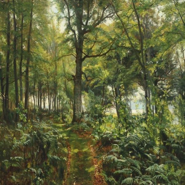 Forest Scenery With Ferns Oil Painting by Christian Zacho