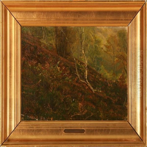 Forest Scene Oil Painting by Christian Zacho