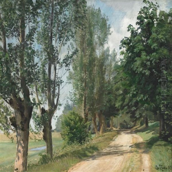 A Sunny Country Road Oil Painting by Christian Zacho