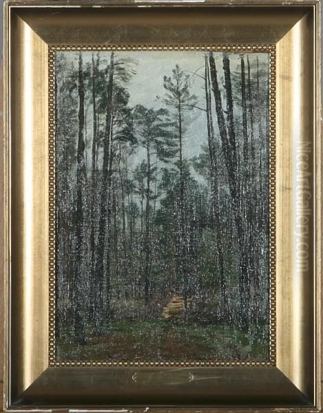 A Spruce Forest Oil Painting by Christian Zacho