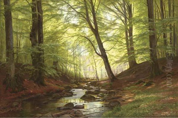 A Stream In A Forest Oil Painting by Christian Zacho