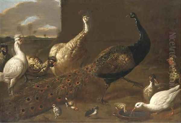 A peacock, a peahen, ducks and fowl poultry in a yard Oil Painting by Adriaen van Utrecht