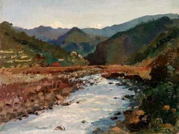 Il Fiume Oil Painting by Erma Zago