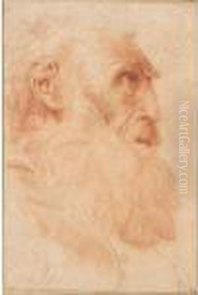 The Head Of A Bearded Old Man, Seen In Profile Oil Painting by Domenico Zampieri (Domenichino)