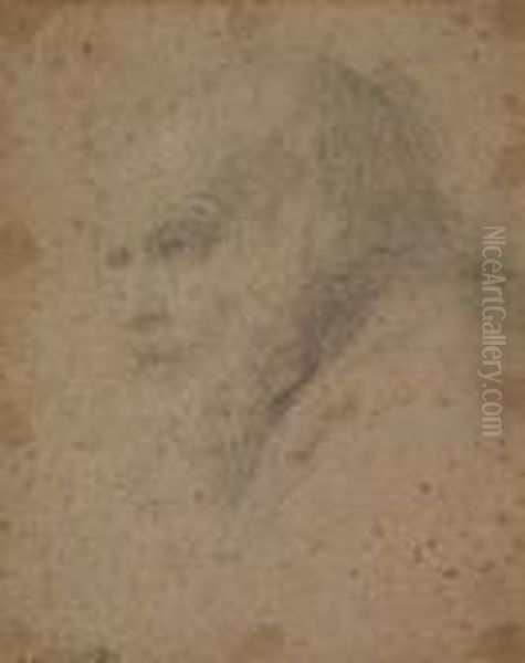 Head Of An Old Man<</b> Oil Painting by Domenico Zampieri (Domenichino)