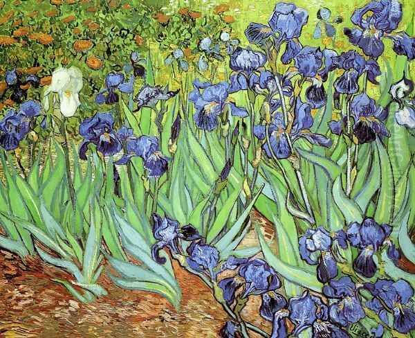 Irises Oil Painting by Vincent Van Gogh