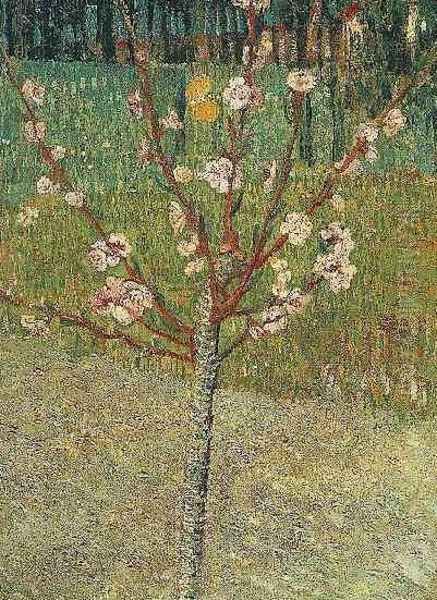 Almond Tree In Blossom Oil Painting by Vincent Van Gogh