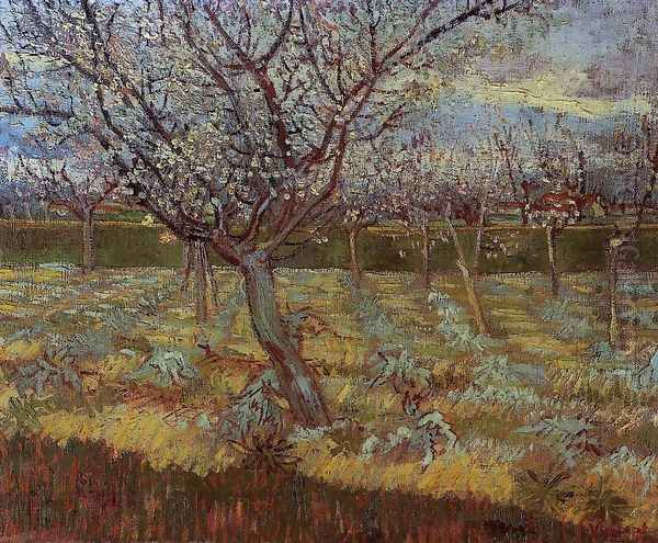 Apricot Trees In Blossom II Oil Painting by Vincent Van Gogh