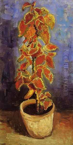 Coleus Plant In A Flowerpot Oil Painting by Vincent Van Gogh