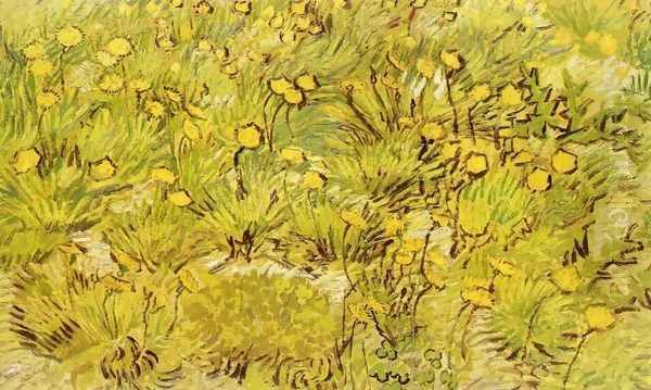 A Field of Yellow Flowers Oil Painting by Vincent Van Gogh